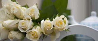 приметы про белые розы