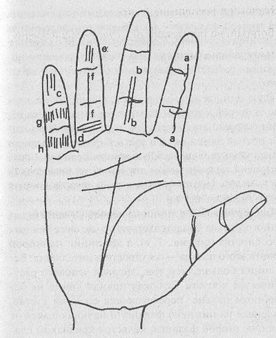 (рис. 6) Хиромантия линии на пальцах: схематический рисунок