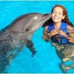 К чему по соннику дельфины могут присниться женщине