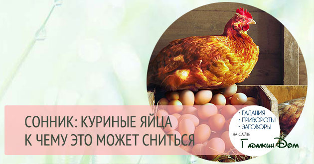 к чему снятся куриные яйца