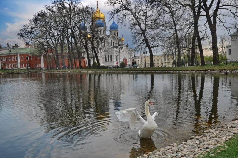 Рис. 2. Монастырский пруд