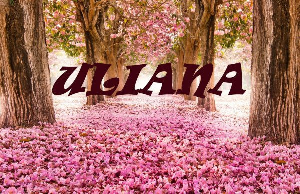 Надпись ULIANA на фоне цветущей сакуры