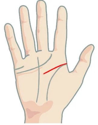 Значение короткой линии в голове (разуме) при гадании по руке