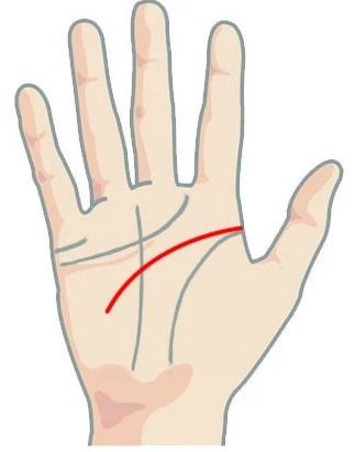 Значение изогнутой линии в голове (разуме) при гадании по руке