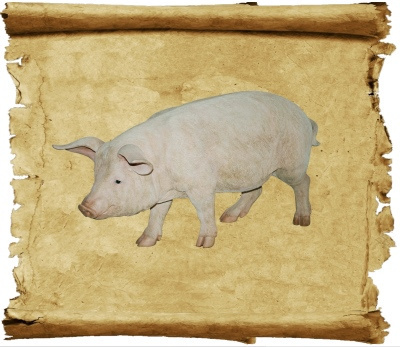 Заговор на продажу свиньи