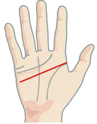 Значение прямой линии в голове (разуме) при гадании по руке
