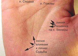 Разные линии влияния на руке