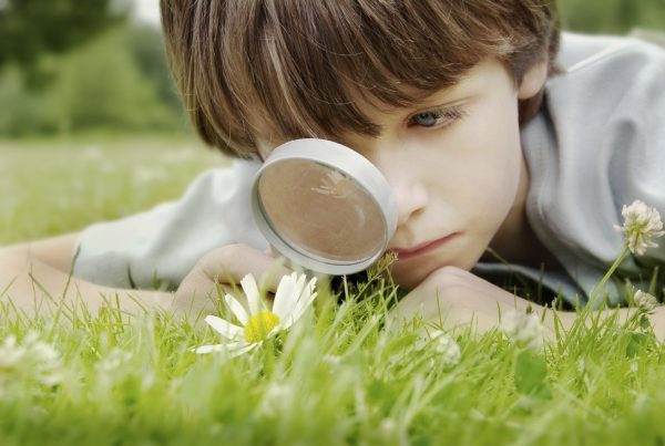 Мальчик смотрит на растения с увеличительным стеклом