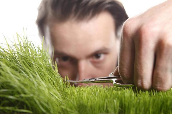 Мужчина косит траву
