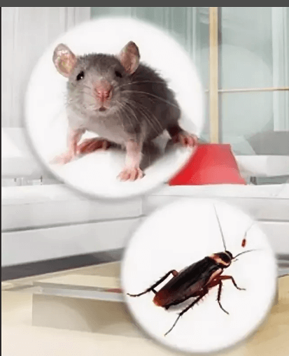 Мыши и тараканы