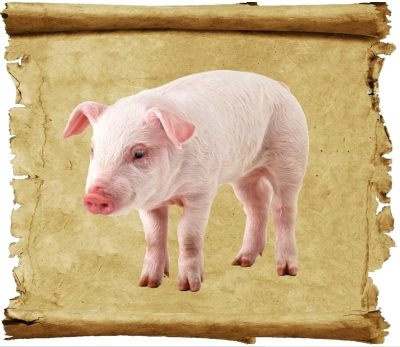 Заговор на продажу свиньи