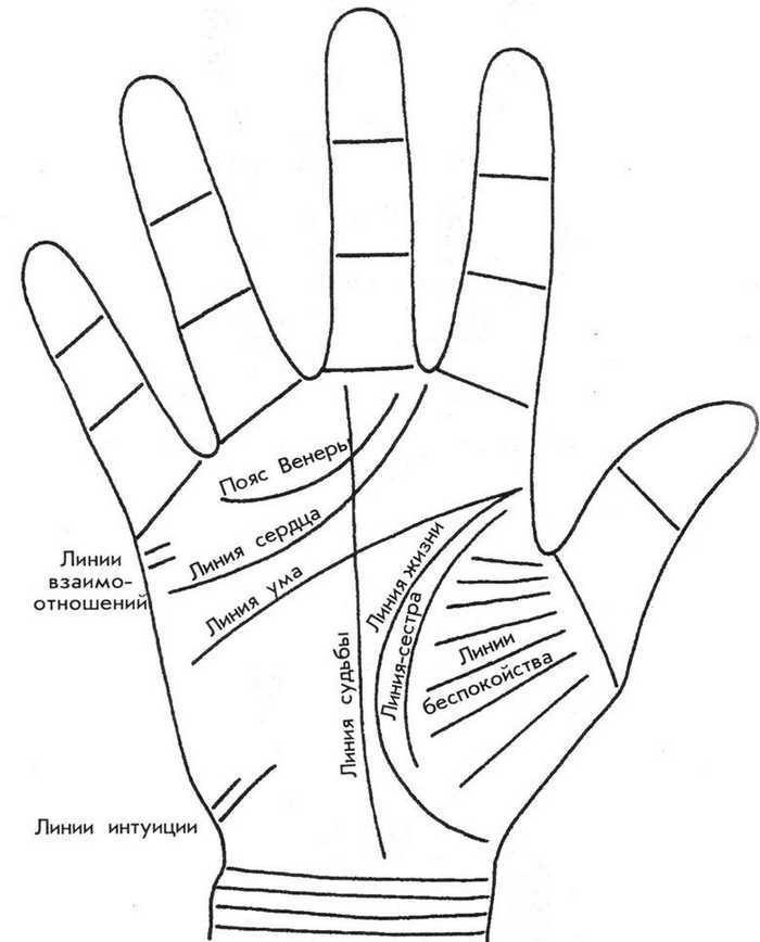 Линии на руке