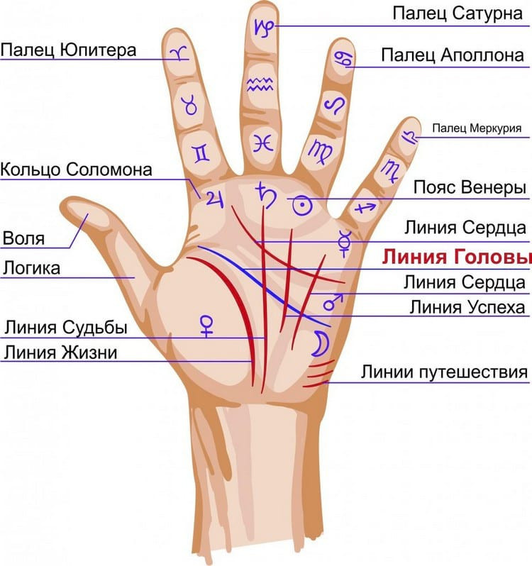 Где находится предел богатства на руке и что он означает