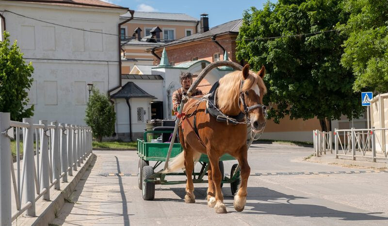 Новичок верхом на лошади