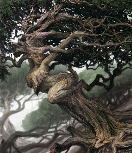 Магические свойства деревьев