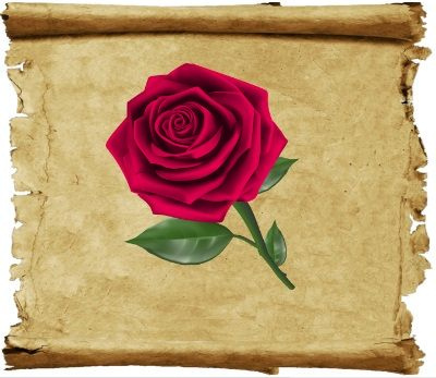Заговор на красоту розы