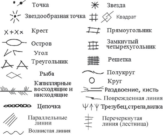 Изображение-235253335