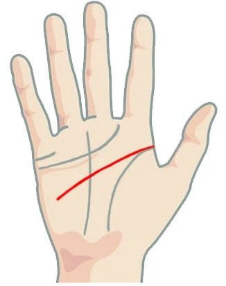 Значение длинной линии в голове (разуме) при гадании по руке