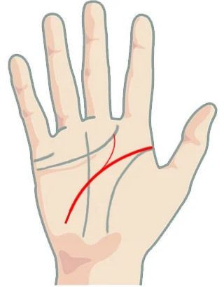 Это означает, что ветвь линии головы проходит до точки между указательным и средним пальцами