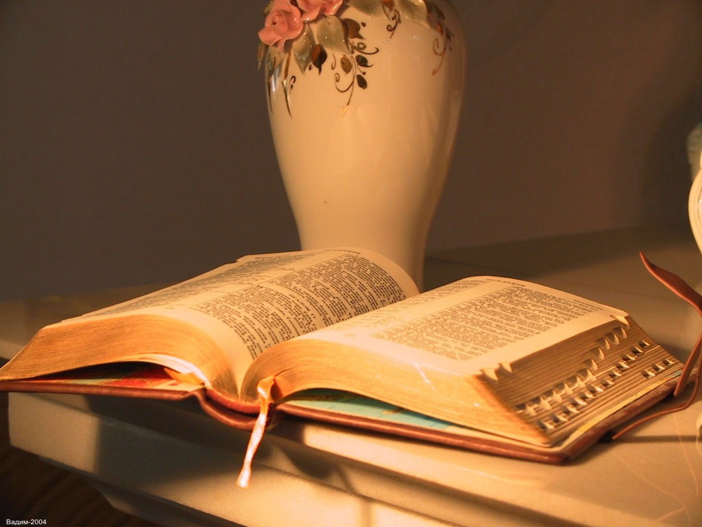 Как и зачем читать Библию каждый день