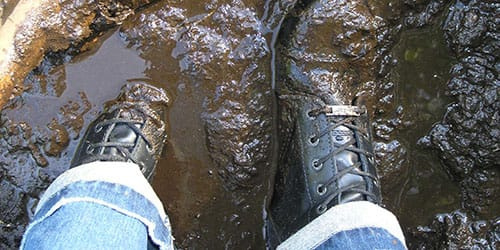 земля под ногами во сне