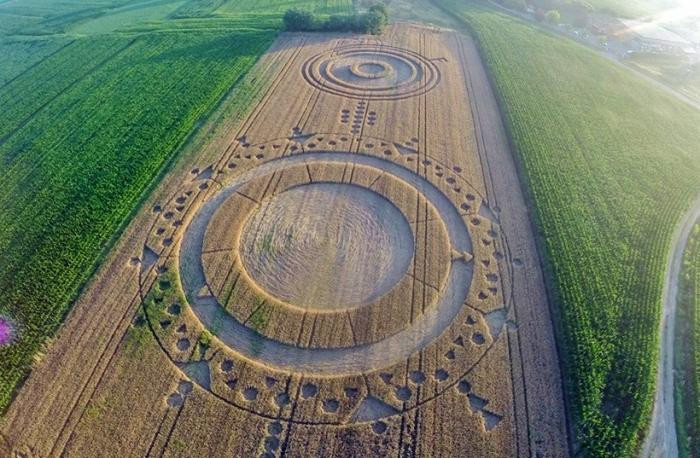 Расшифровка кругов на полях: что там говорят инопланетяне (8 фото)