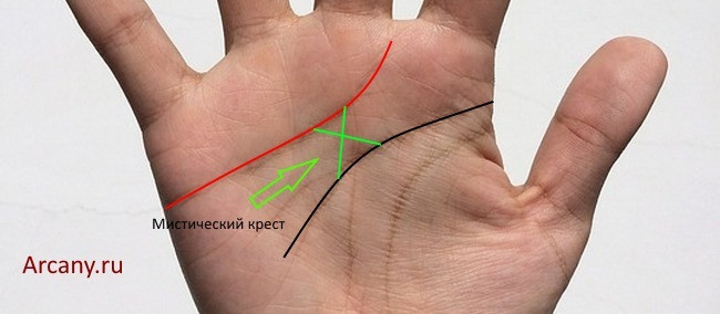 Значение креста на ладони в хиромантии: на гребнях, пальцах, линиях