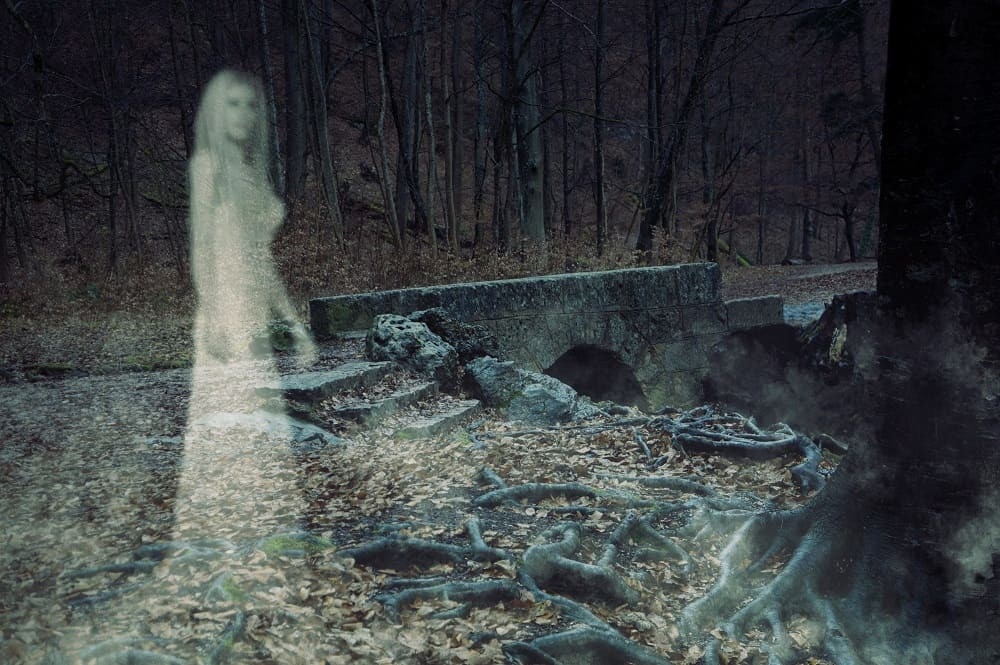 Видимо это или что-то похожее на привидение в лесу / traveltimes.ru