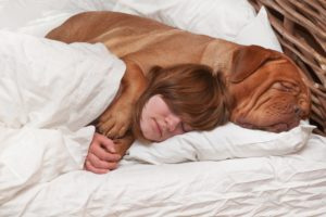 собака спит на подушке с девушкой